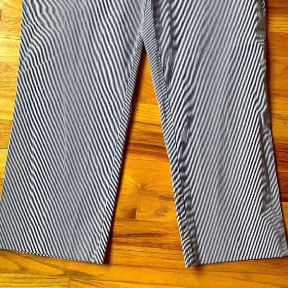 NWT Women’s Land’s End Cobalt Stripe Pincord Cropped Pants Size 12 - Picture 3 of 9